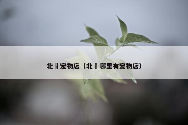北滘宠物店（北滘哪里有宠物店）