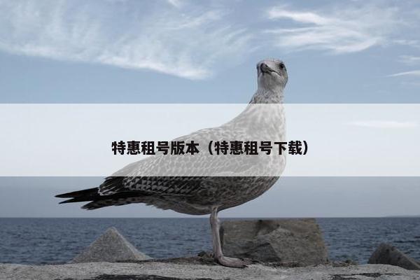 特惠租号版本（特惠租号下载）