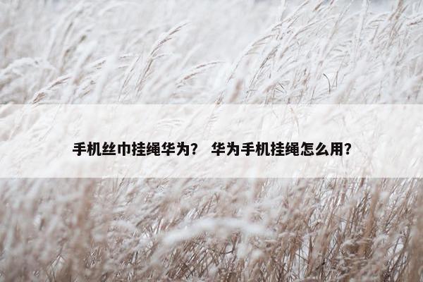 手机丝巾挂绳华为？ 华为手机挂绳怎么用？