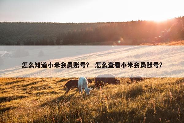 怎么知道小米会员账号？ 怎么查看小米会员账号？