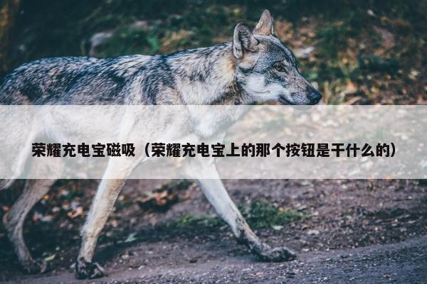 荣耀充电宝磁吸（荣耀充电宝上的那个按钮是干什么的）