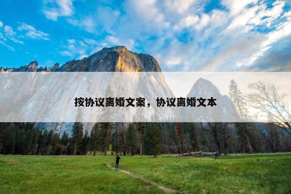 按协议离婚文案，协议离婚文本