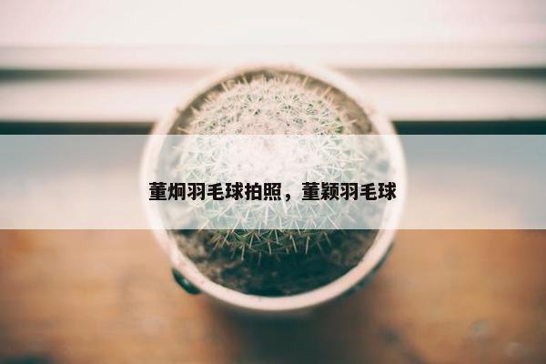 董炯羽毛球拍照，董颖羽毛球