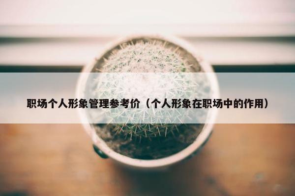 职场个人形象管理参考价（个人形象在职场中的作用）