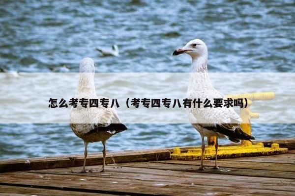 怎么考专四专八（考专四专八有什么要求吗）