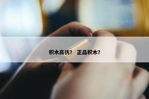 积木高仿？ 正品积木？