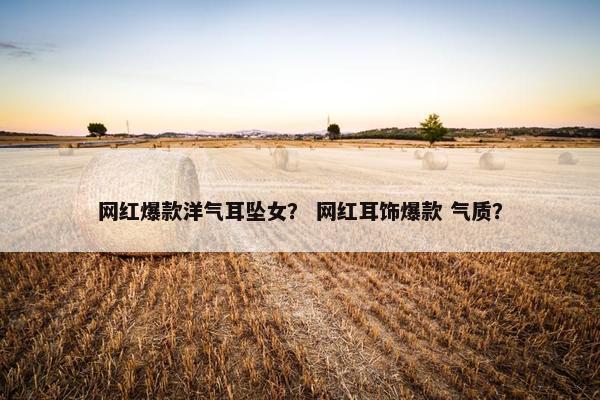 网红爆款洋气耳坠女？ 网红耳饰爆款 气质？