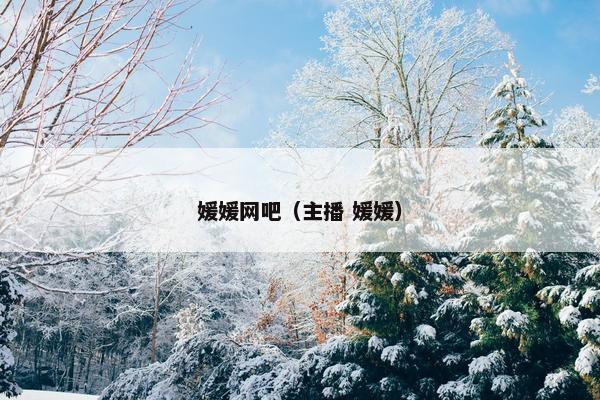 媛媛网吧（主播 媛媛）