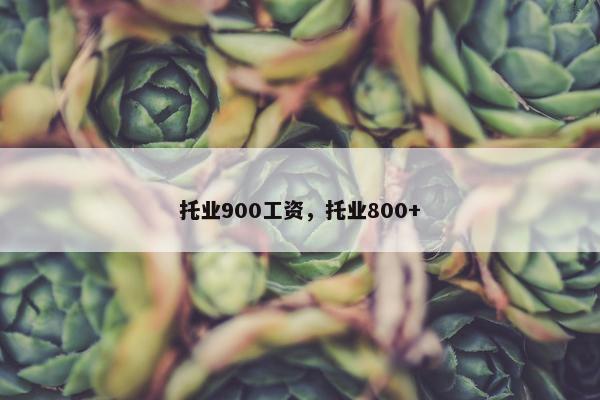 托业900工资，托业800+