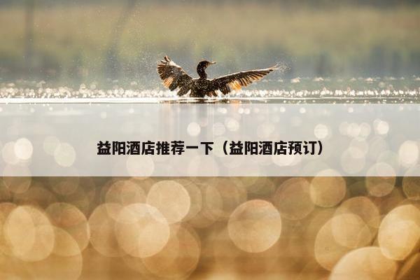 益阳酒店推荐一下（益阳酒店预订）