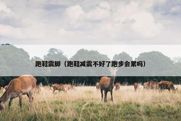 跑鞋震脚（跑鞋减震不好了跑步会累吗）