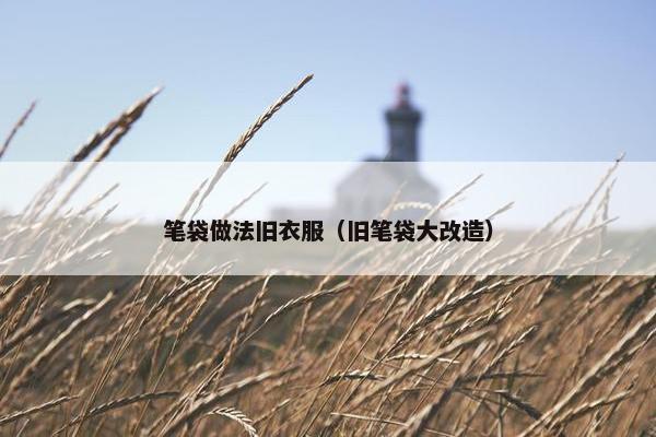 笔袋做法旧衣服（旧笔袋大改造）