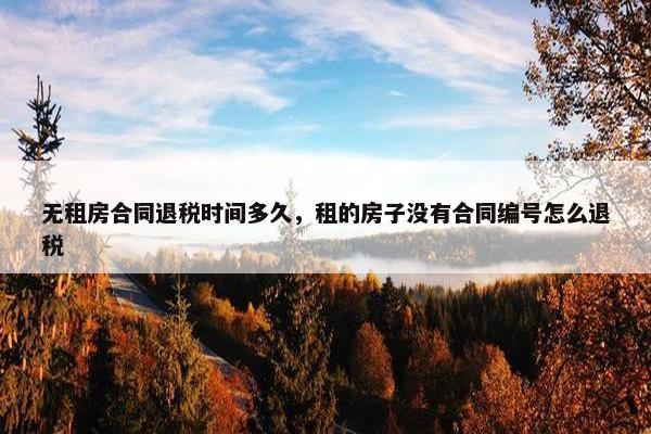 无租房合同退税时间多久，租的房子没有合同编号怎么退税