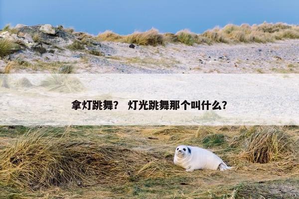 拿灯跳舞？ 灯光跳舞那个叫什么？
