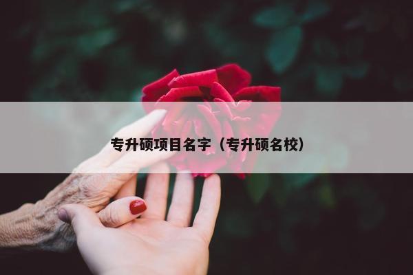 专升硕项目名字（专升硕名校）