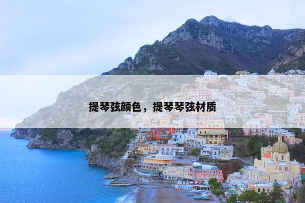 提琴弦颜色，提琴琴弦材质