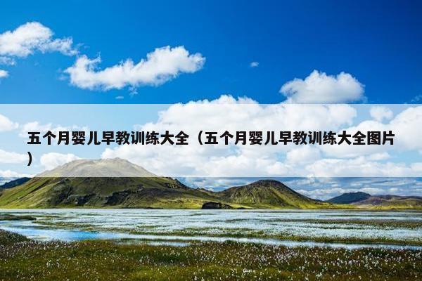 五个月婴儿早教训练大全（五个月婴儿早教训练大全图片）