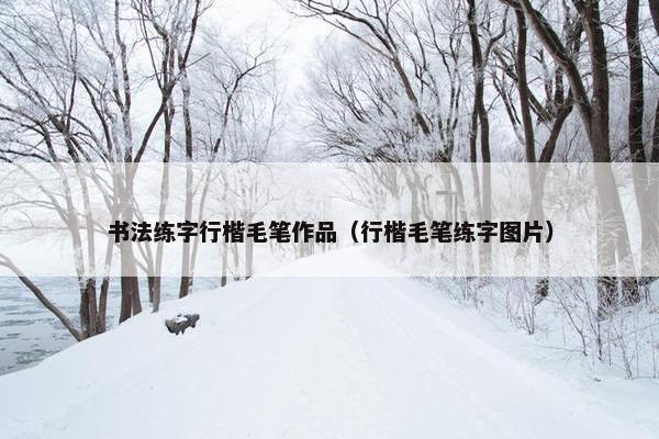 书法练字行楷毛笔作品（行楷毛笔练字图片）