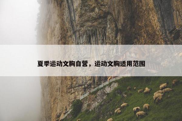夏季运动文胸自营，运动文胸适用范围