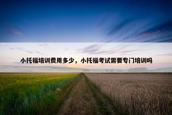小托福培训费用多少，小托福考试需要专门培训吗