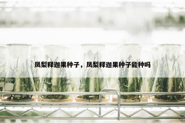 凤梨释迦果种子，凤梨释迦果种子能种吗
