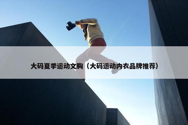 大码夏季运动文胸（大码运动内衣品牌推荐）