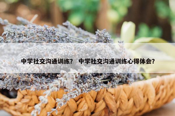 中学社交沟通训练？ 中学社交沟通训练心得体会？