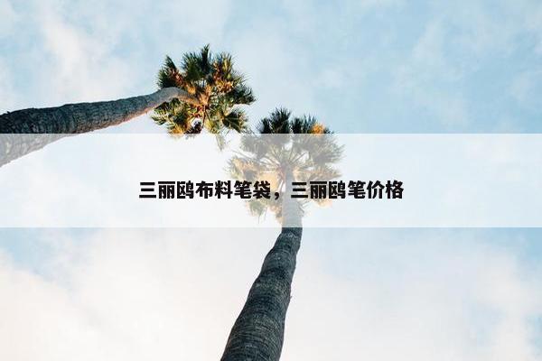 三丽鸥布料笔袋，三丽鸥笔价格