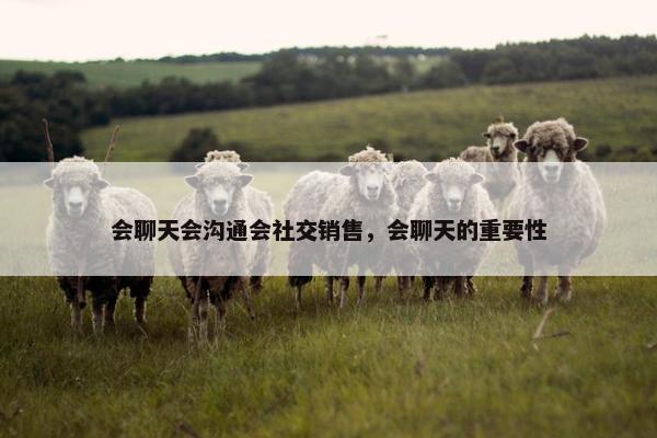 会聊天会沟通会社交销售，会聊天的重要性