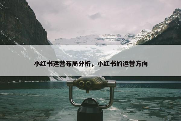 小红书运营布局分析，小红书的运营方向