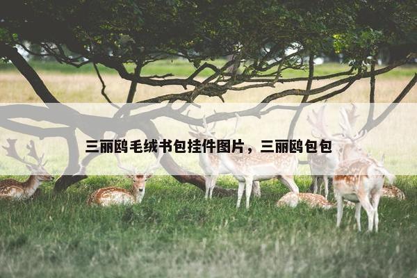 三丽鸥毛绒书包挂件图片，三丽鸥包包
