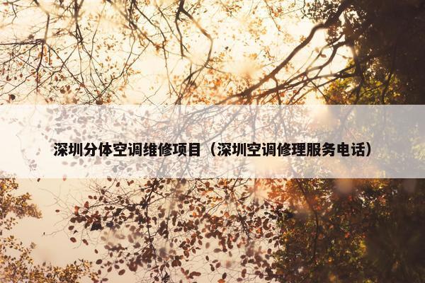 深圳分体空调维修项目（深圳空调修理服务电话）