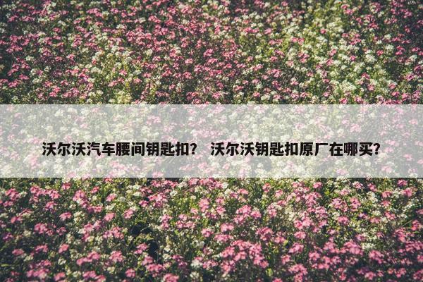 沃尔沃汽车腰间钥匙扣？ 沃尔沃钥匙扣原厂在哪买？