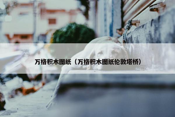 万格积木图纸（万格积木图纸伦敦塔桥）