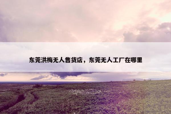 东莞洪梅无人售货店，东莞无人工厂在哪里