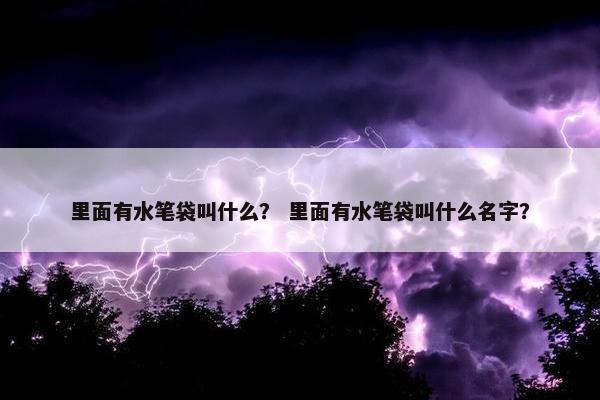 里面有水笔袋叫什么？ 里面有水笔袋叫什么名字？