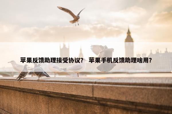 苹果反馈助理接受协议？ 苹果手机反馈助理啥用？
