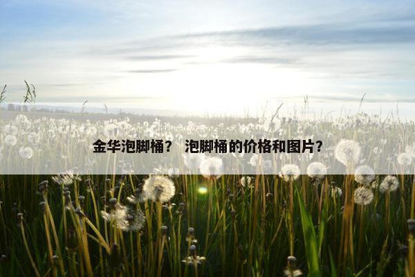 金华泡脚桶？ 泡脚桶的价格和图片？