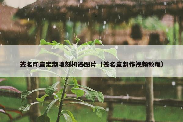 签名印章定制雕刻机器图片（签名章制作视频教程）