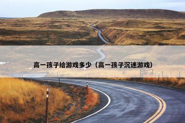 高一孩子给游戏多少（高一孩子沉迷游戏）