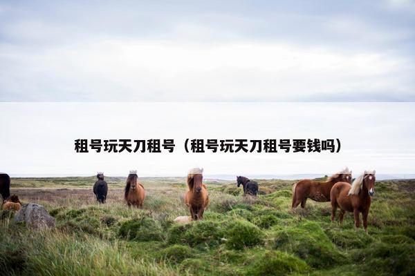 租号玩天刀租号（租号玩天刀租号要钱吗）