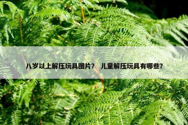 八岁以上解压玩具图片？ 儿童解压玩具有哪些？