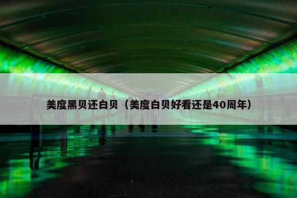 美度黑贝还白贝（美度白贝好看还是40周年）