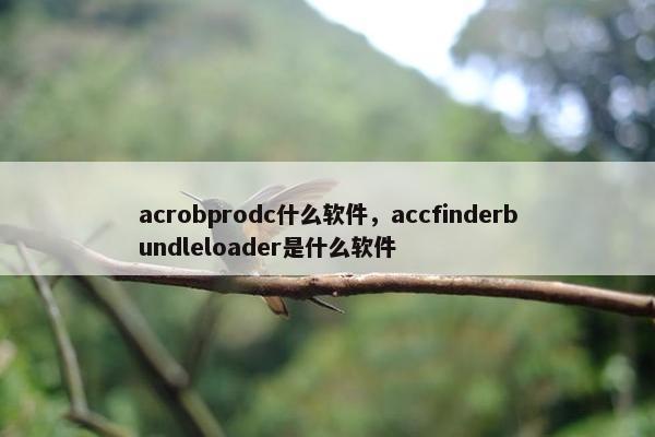 acrobprodc什么软件，accfinderbundleloader是什么软件
