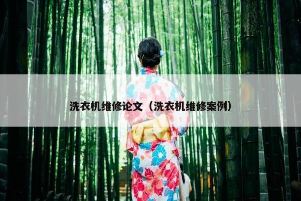 洗衣机维修论文（洗衣机维修案例）