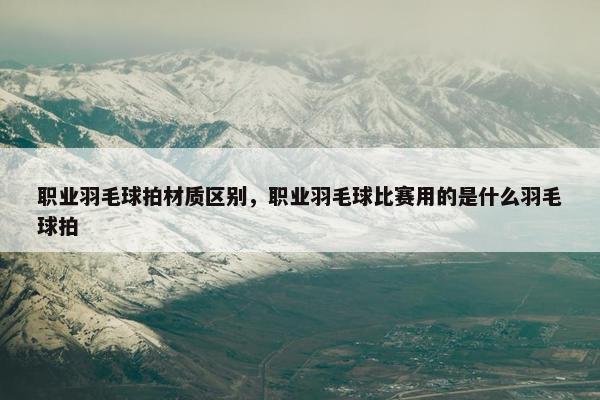 职业羽毛球拍材质区别，职业羽毛球比赛用的是什么羽毛球拍