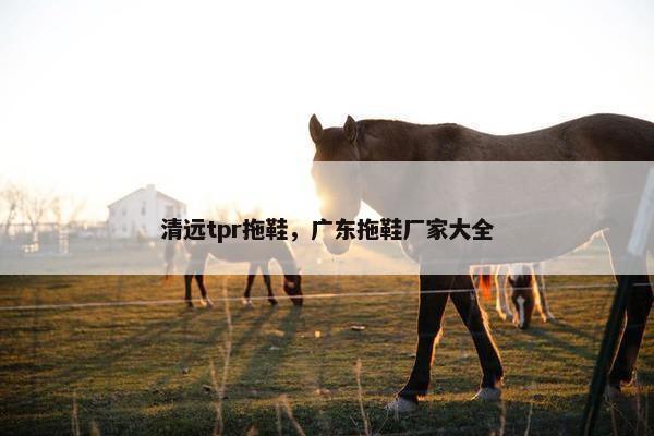 清远tpr拖鞋，广东拖鞋厂家大全