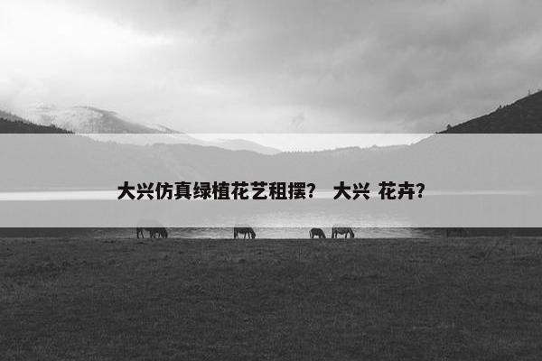 大兴仿真绿植花艺租摆？ 大兴 花卉？
