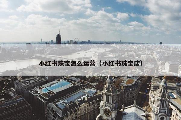 小红书珠宝怎么运营（小红书珠宝店）