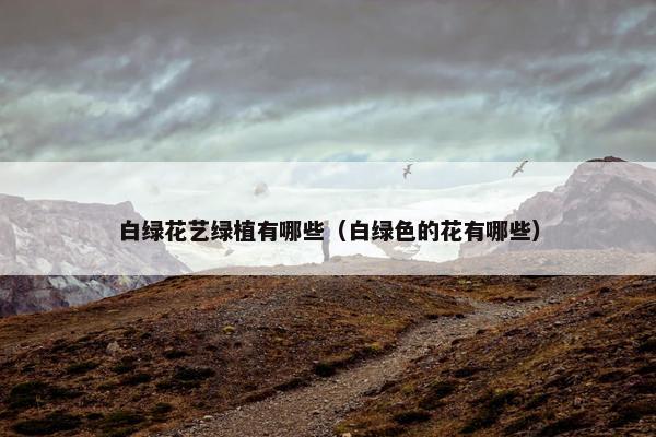 白绿花艺绿植有哪些（白绿色的花有哪些）